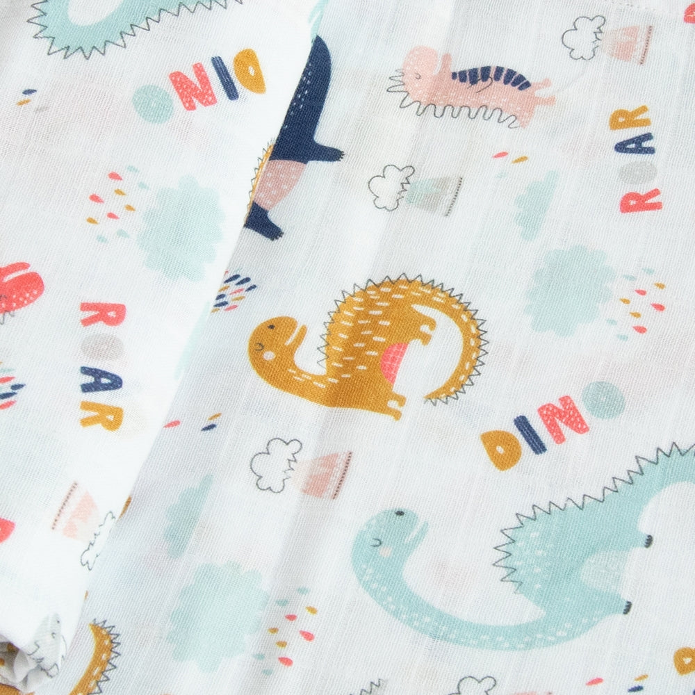 Dino Friend - Reversible Bib & Burpy Cloth Set