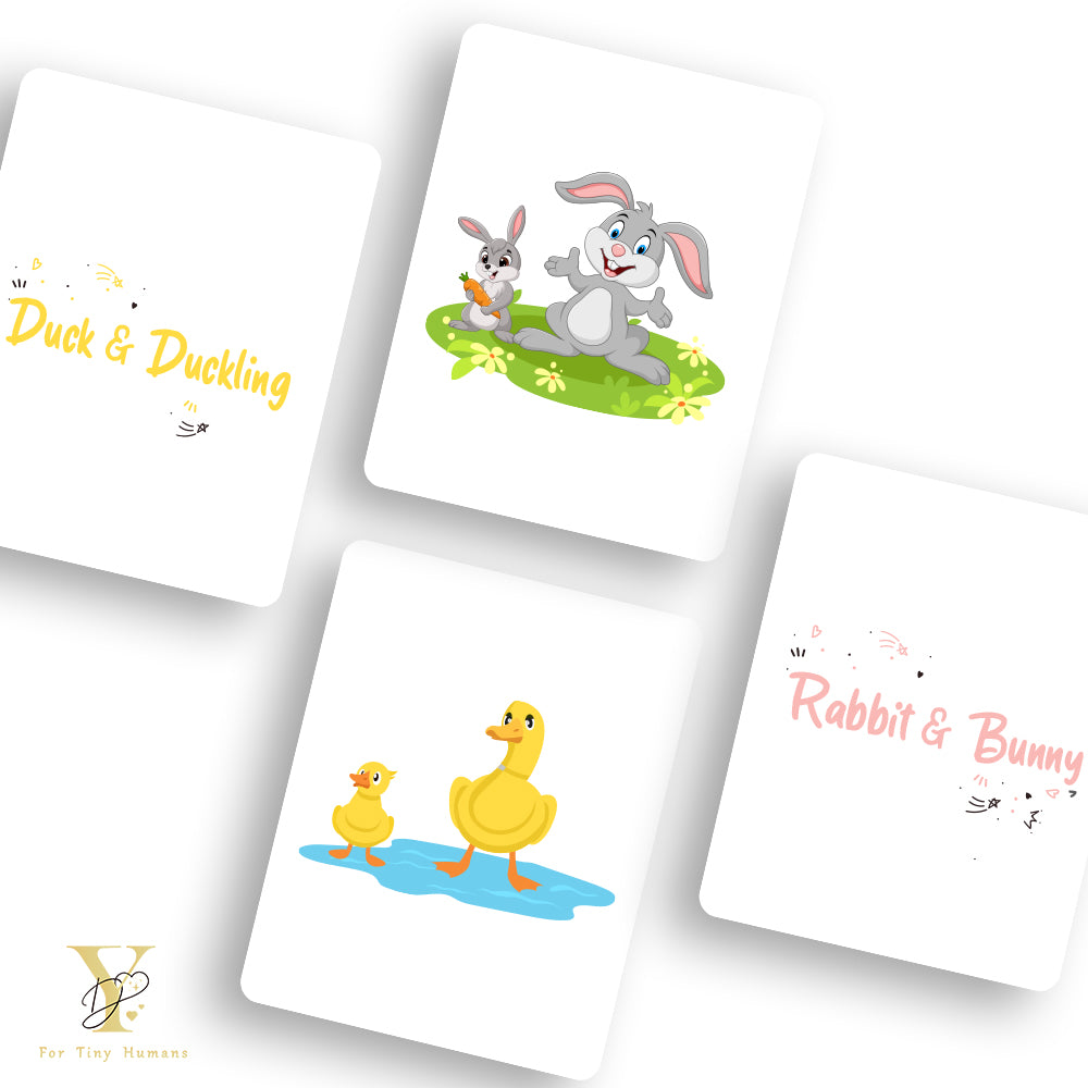 Doodle's Flash Cards - Farm Animals