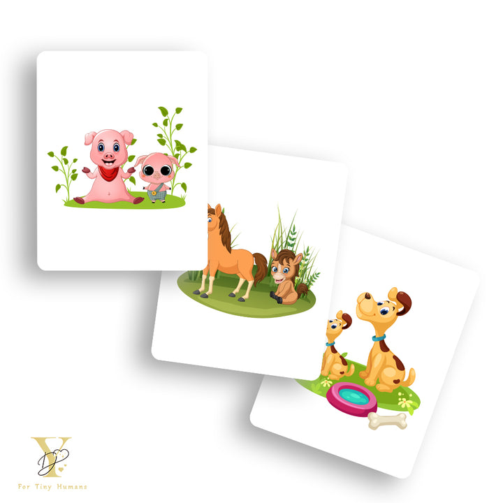 Doodle's Flash Cards - Farm Animals