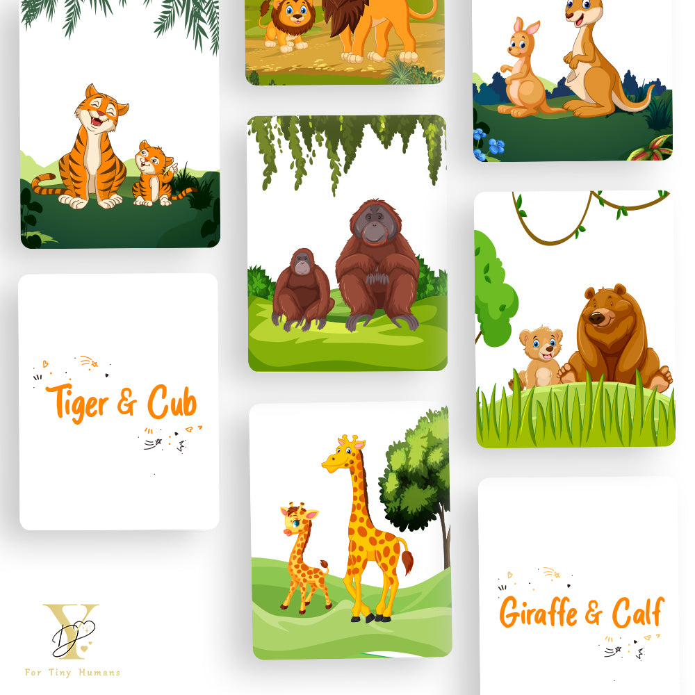 Doodle's Flash Cards - Wild Animals