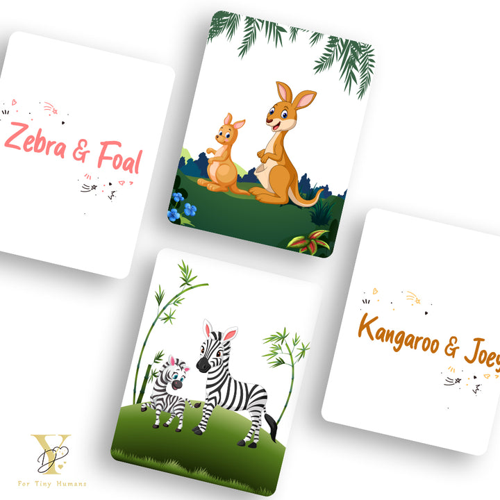 Doodle's Flash Cards Collection - Farm & Wild Animals