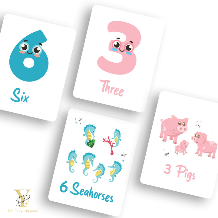 Doodle's Flash Cards Collection- Numbers & Abc