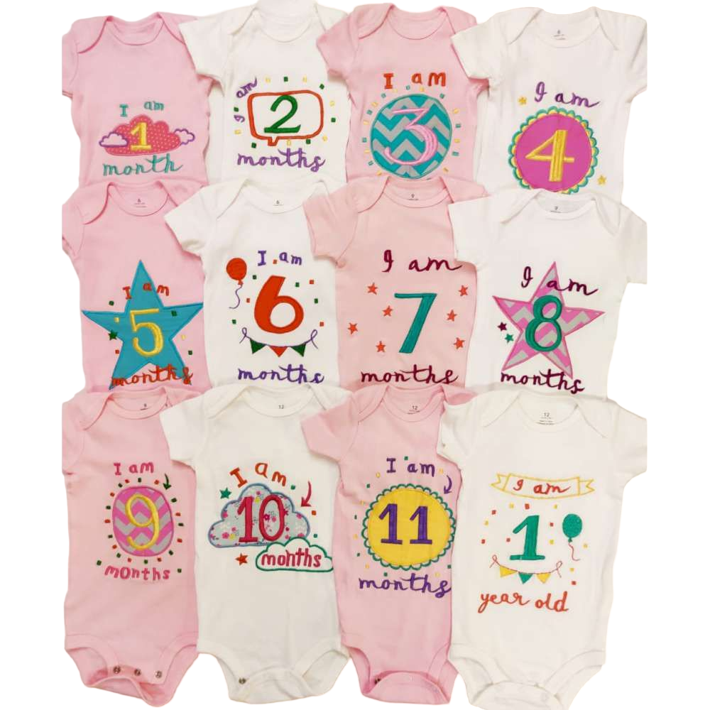 Hand Embroidered Milestone Romper Set of 12 - Bubble thoughts - Pink White Pink Combination