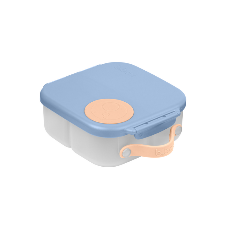 Mini Lunch Box Feeling Peachy Light Blue