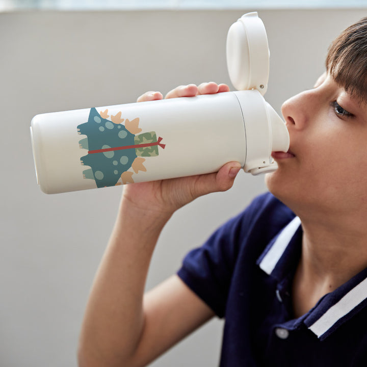 Insulated Water Bottle - Dino Party