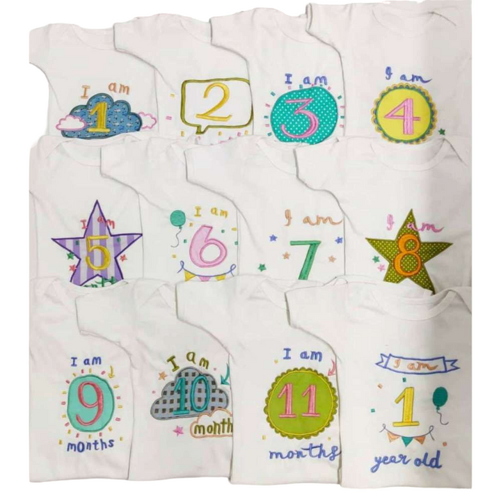 Hand Embroidered Milestone Romper Set of 12 - Bubble Thoughts