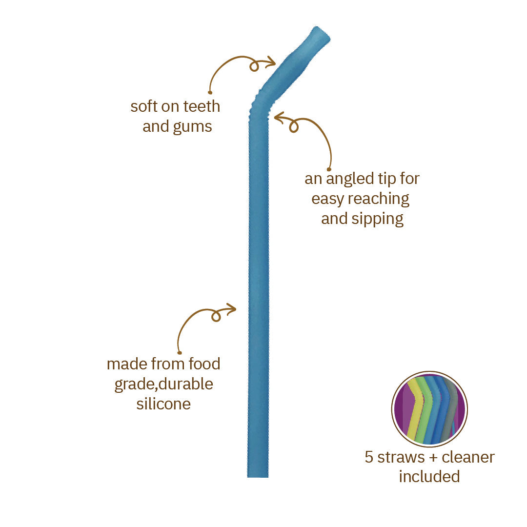 Reusable Silicone Straw Pack of 5 Pool Party