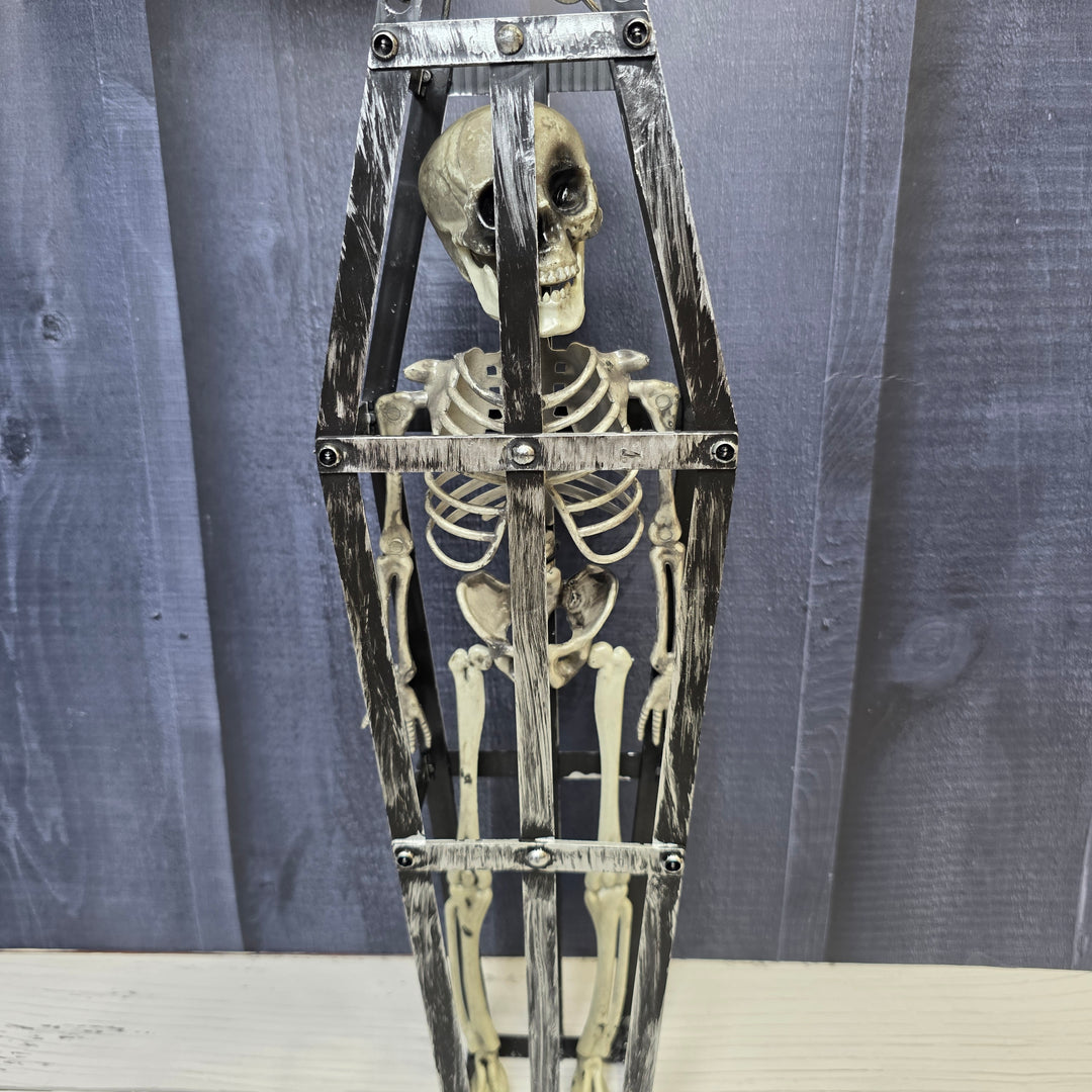 Cursed Coffin Skeleton