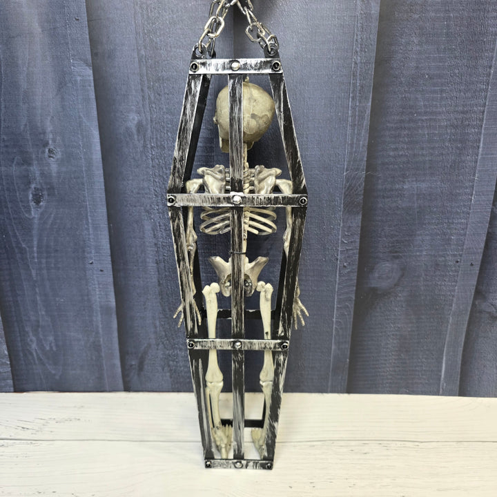 Cursed Coffin Skeleton