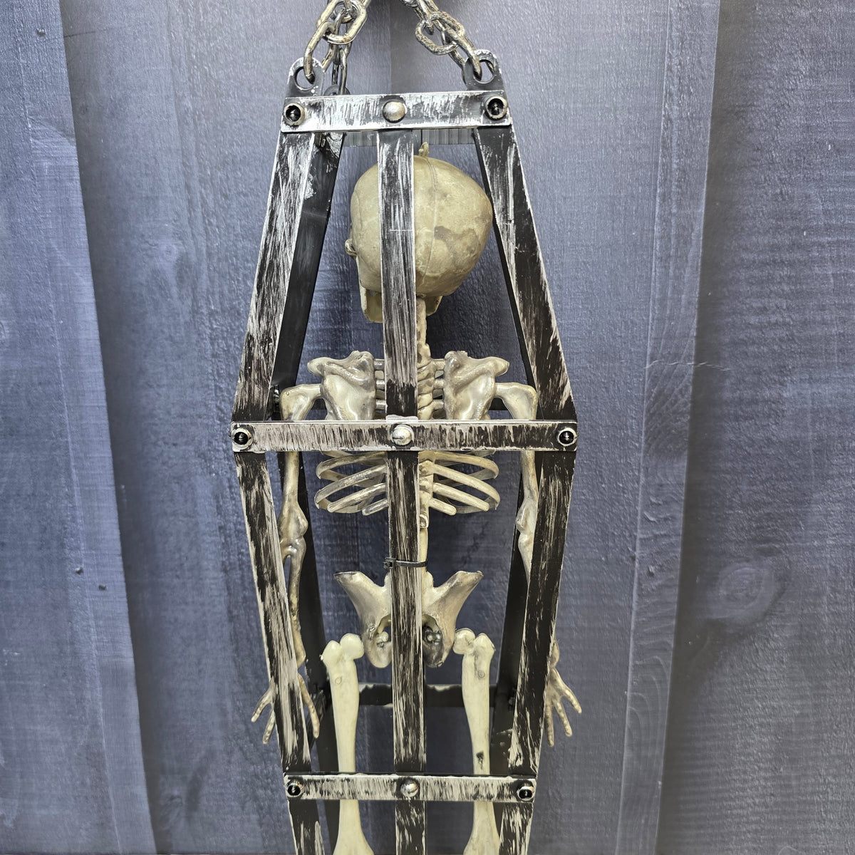 Cursed Coffin Skeleton