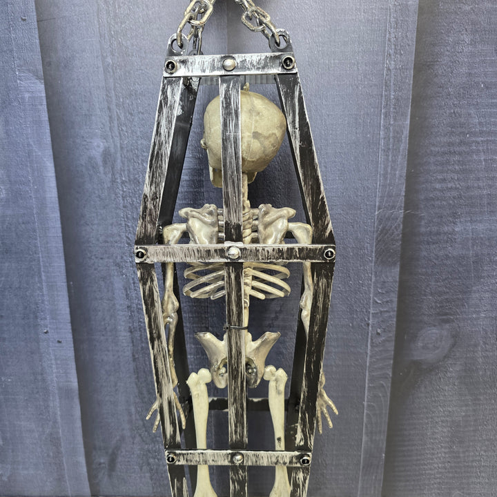 Cursed Coffin Skeleton