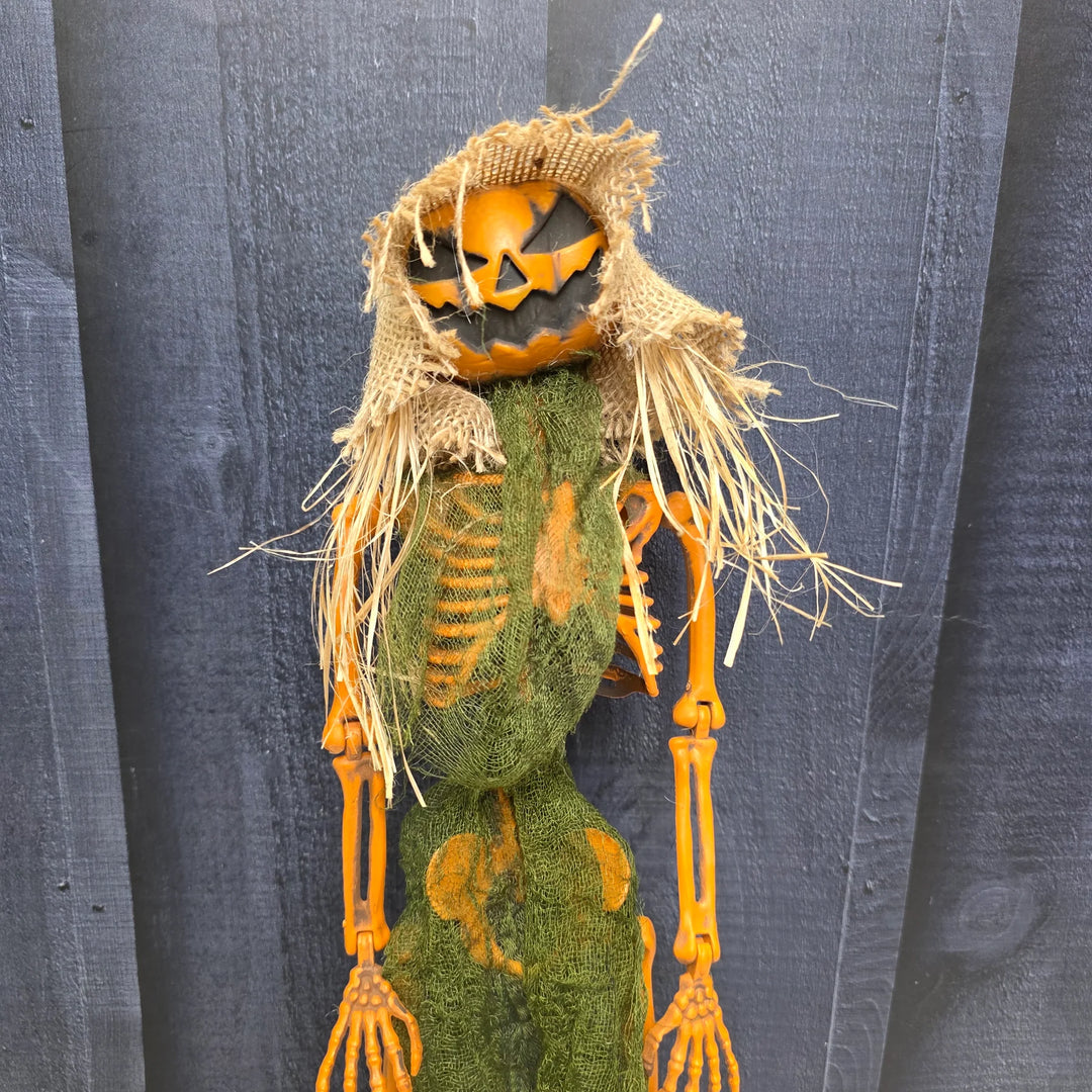 Pumpkin Head Skeleton – Harvest Haunter
