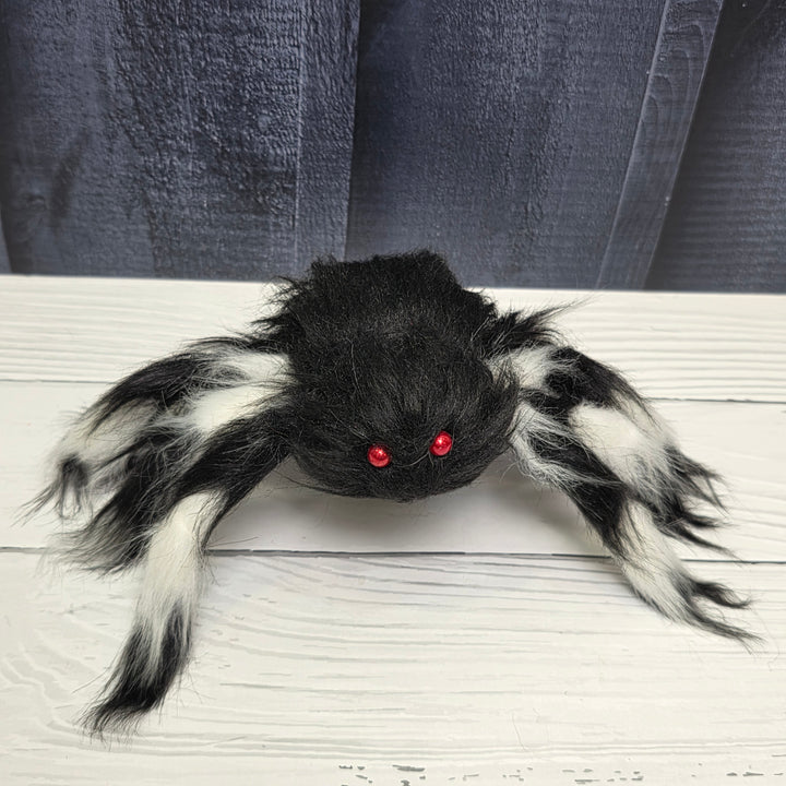 Haunted Tarantula – Set of 5