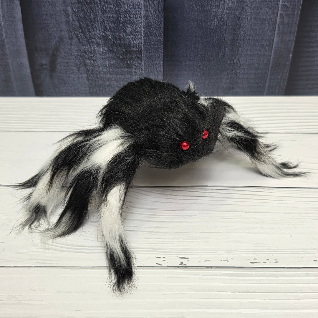 Haunted Tarantula – Set of 5