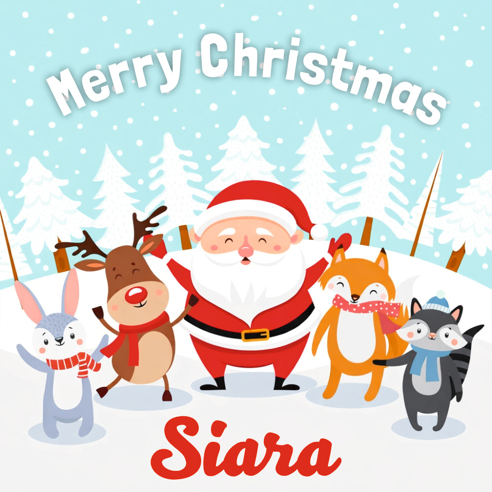 Magnetic Puzzle – Santa’s Surprise
