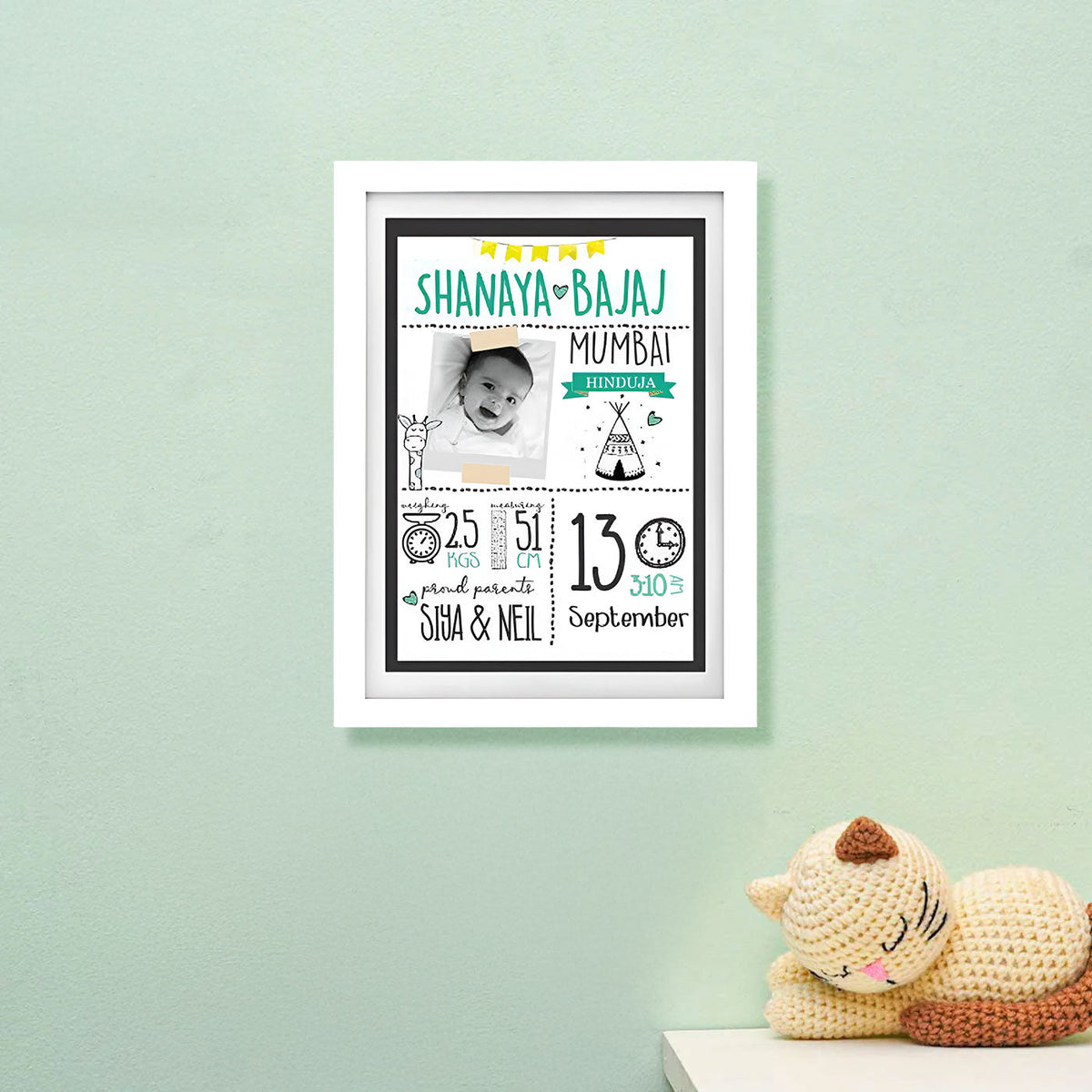 Birth Statistics Frame - Tribal