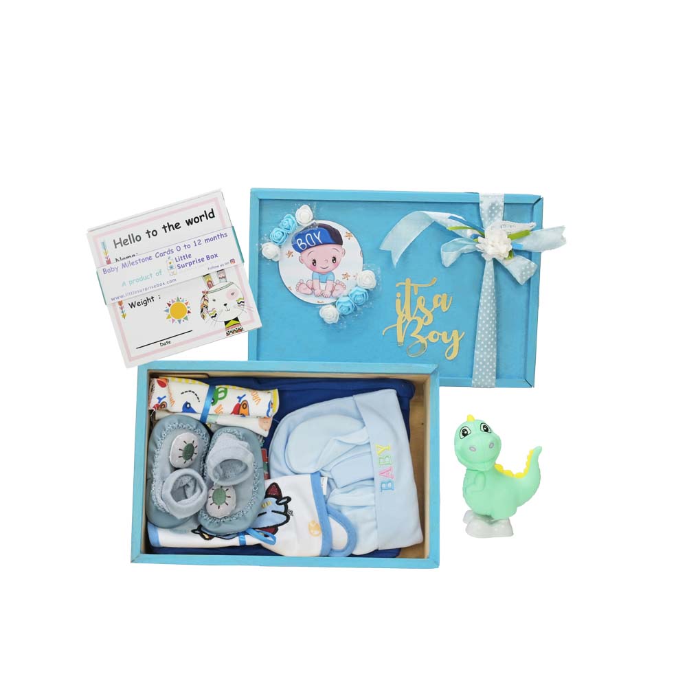 Blue Joy Newborn Hamper Gift Set