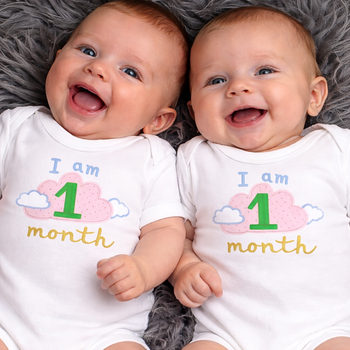 Hand Embroidered Milestone Romper Set of 12 - Clouds
