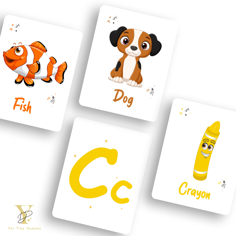 Doodle's Flash Cards - My First Abc