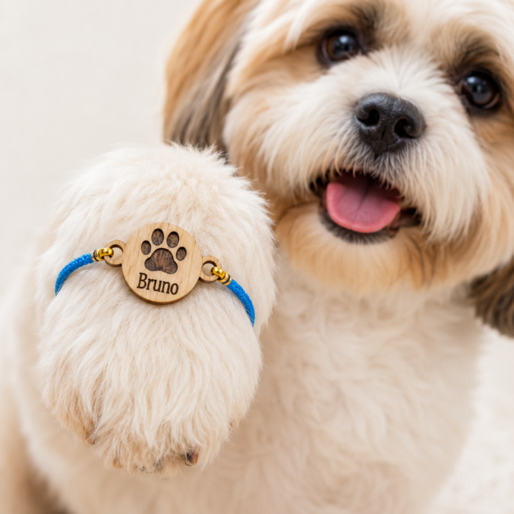 Babble Wrap FurEver bond Rakhi