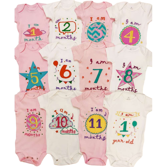 Hand Embroidered Milestone Romper Set of 12 - Bubble thoughts - Pink White Pink Combination