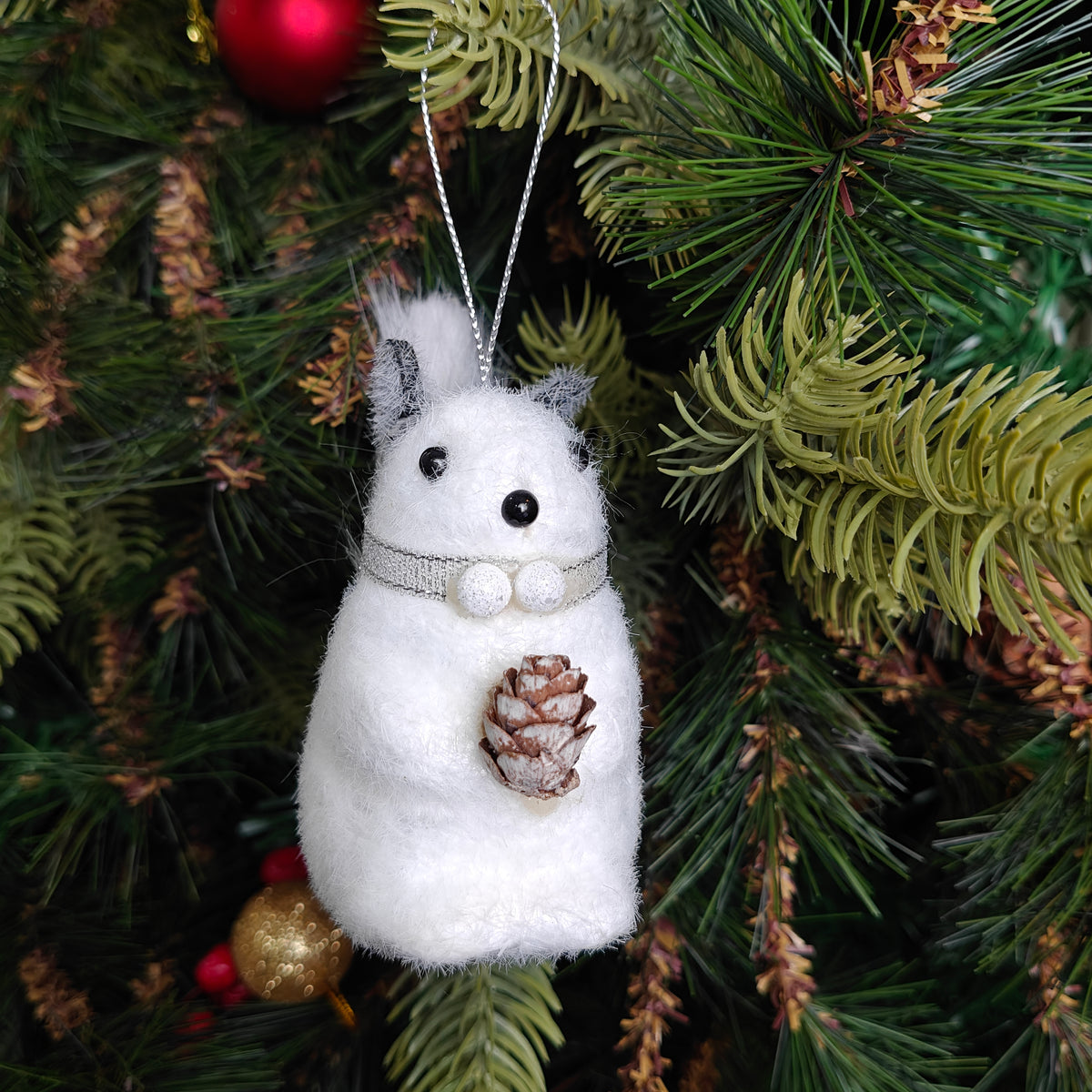 Frosty Pine Squirrel