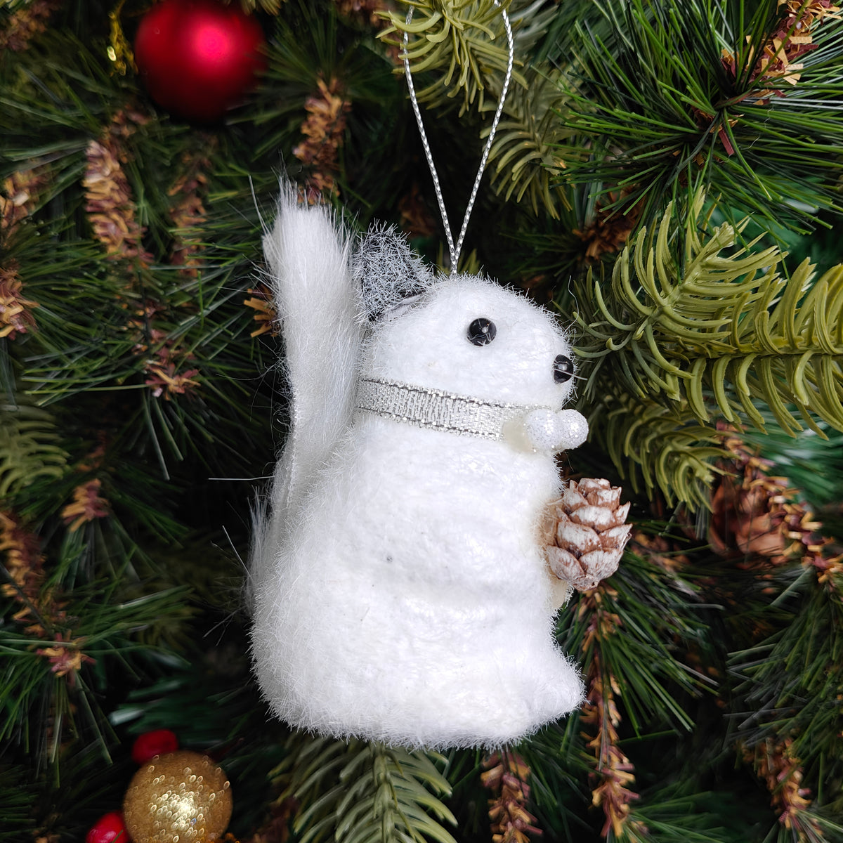 Frosty Pine Squirrel