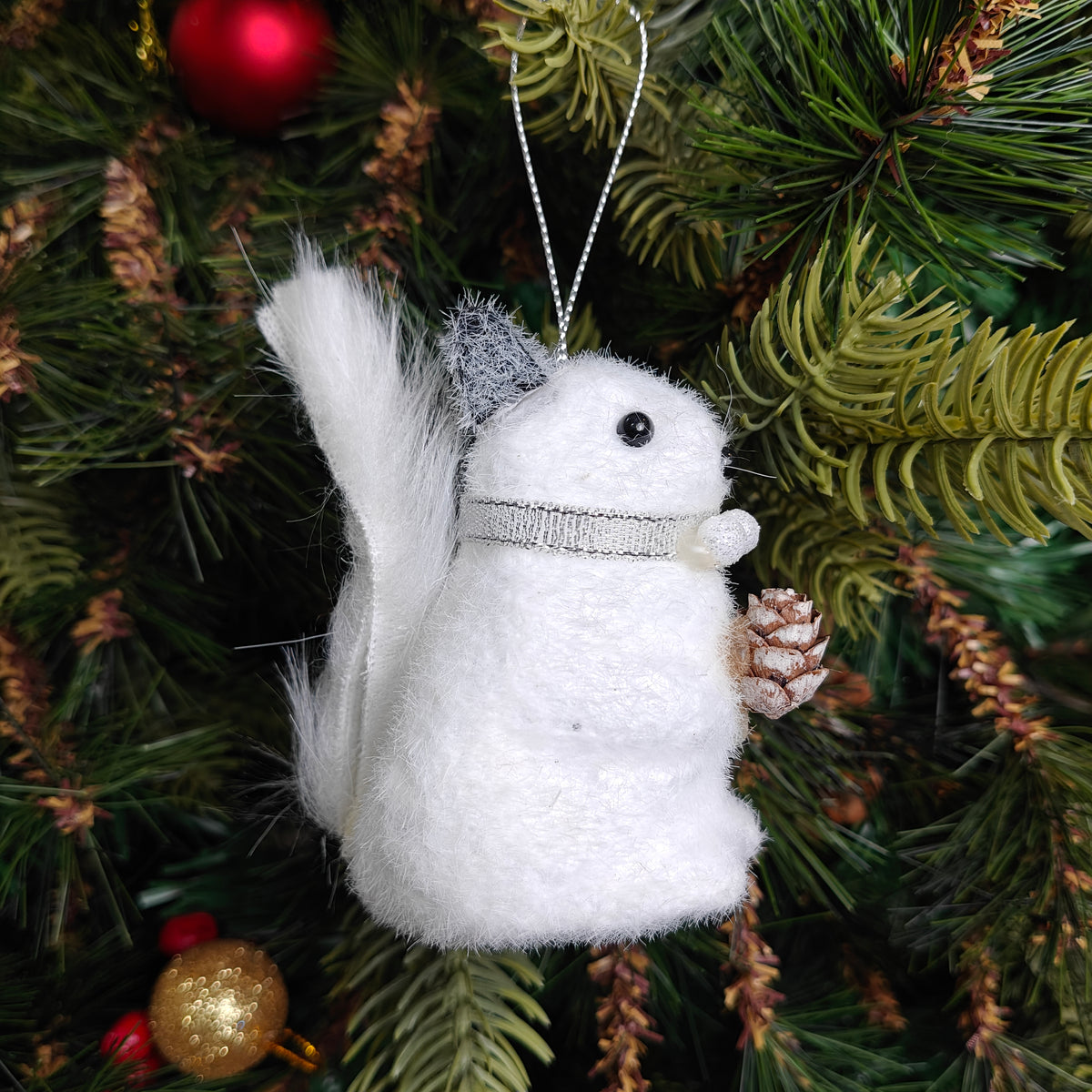 Frosty Pine Squirrel