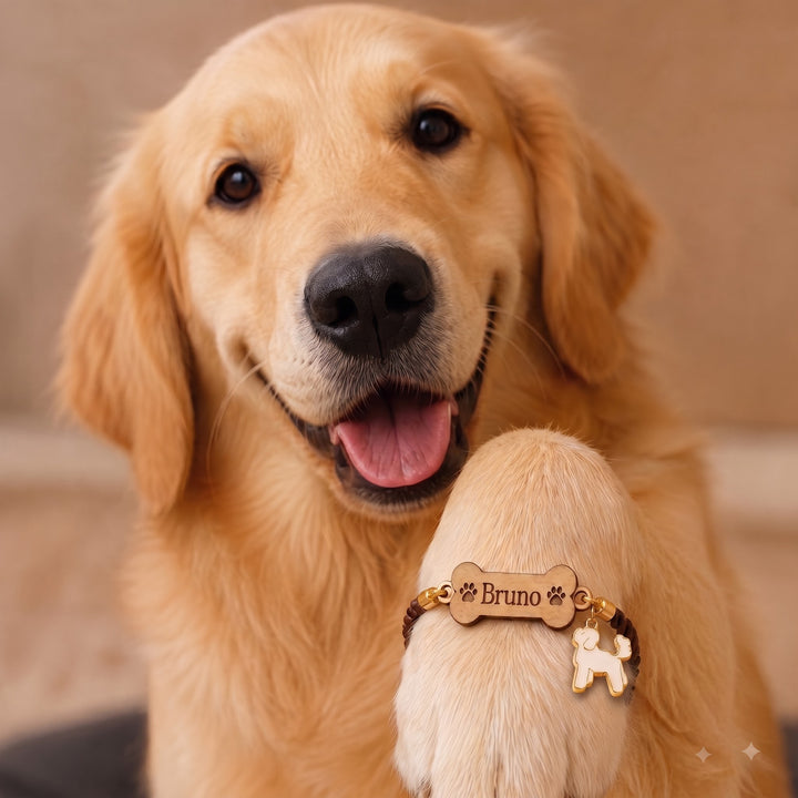 Babble Wrap Loyal Bond Rakhi