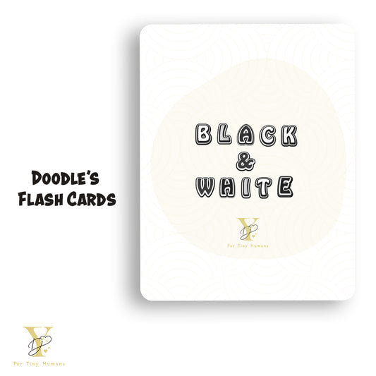 Newborn Sensory Flash Cards