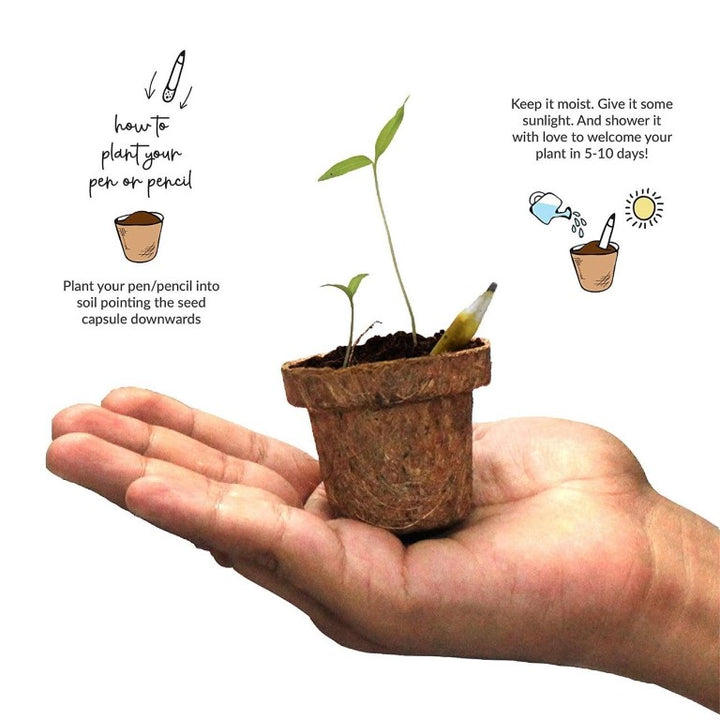 5 Plantable Pencils