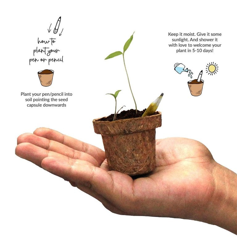 Plantable Pens & Pencil Gift Box - Mini Gift Box (Black Hard Box) - Bundle Pack