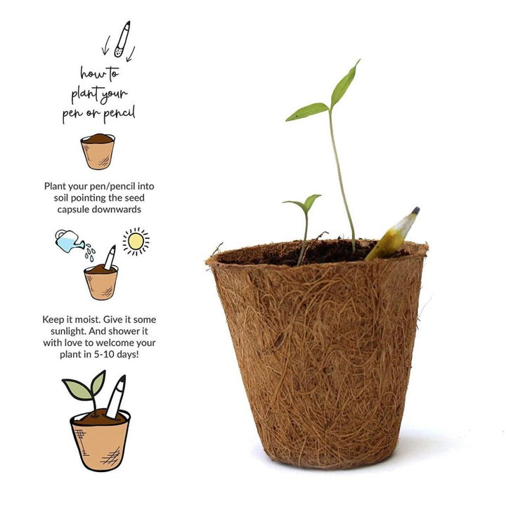 Plantable Pens & Pencil Gift Box - Mini Gift Box (Black Hard Box) - Bundle Pack
