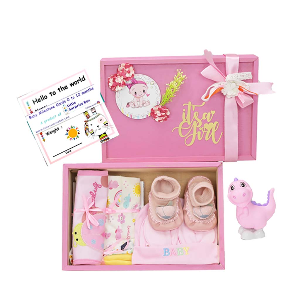 Pink Blush Newborn Hamper Gift Set