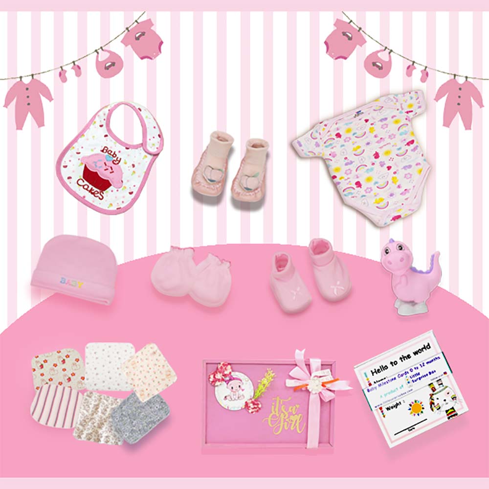 Pink Blush Newborn Hamper Gift Set