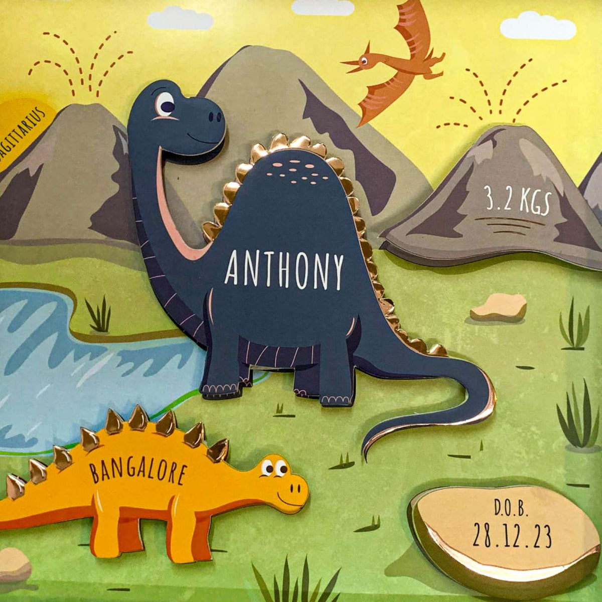 Shadow Box Frame with Rose Gold Foil - Dinosaurs