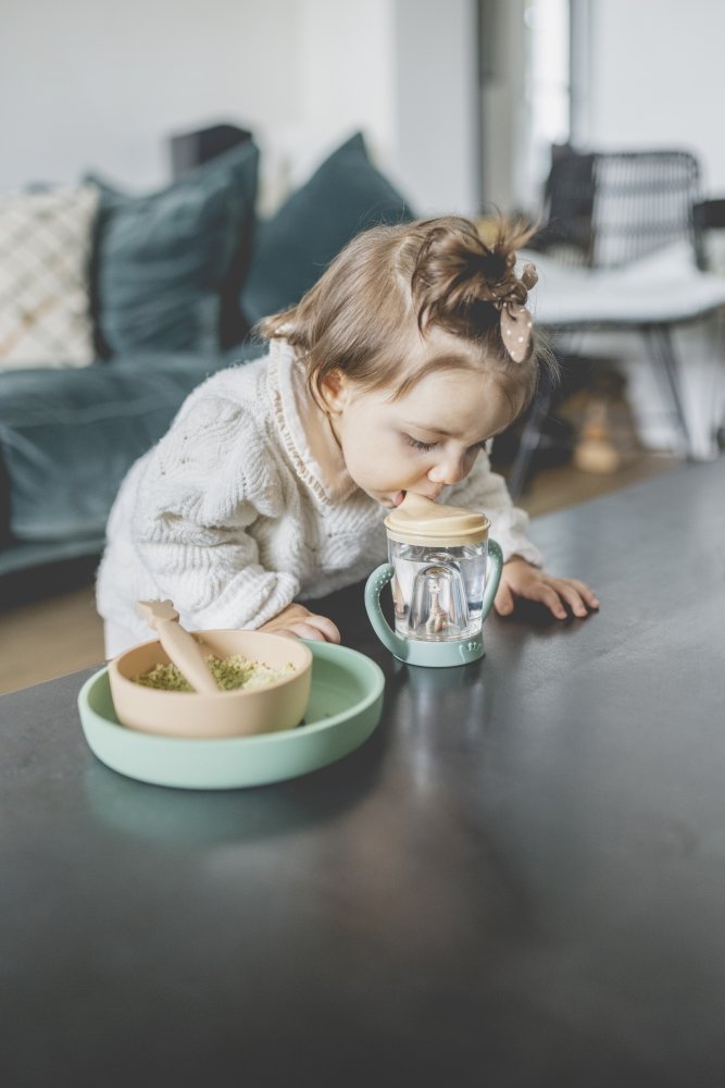 Silicone Meal Set