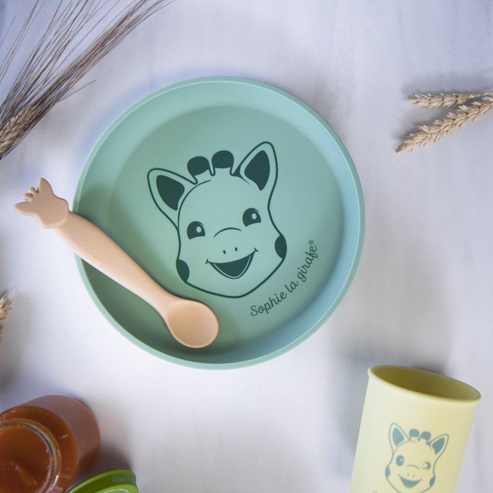 Silicone Meal Set