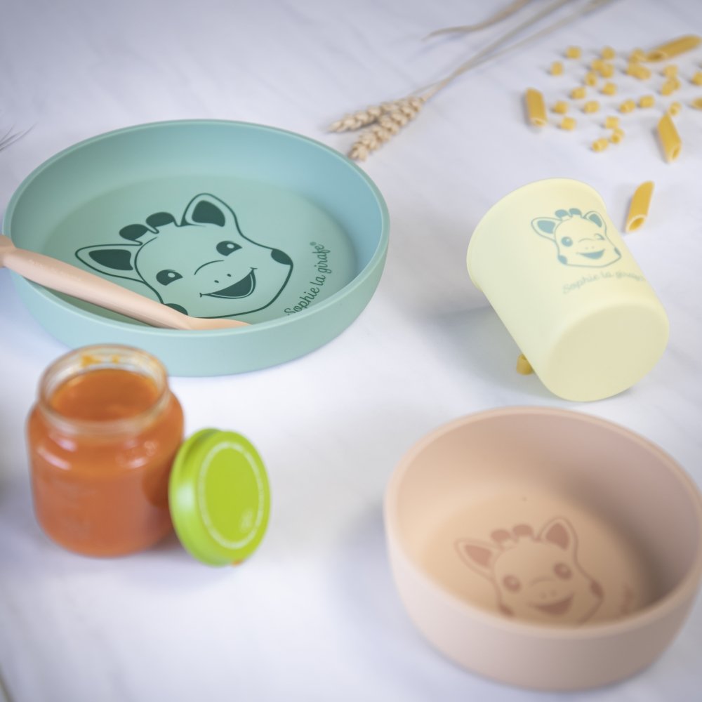 Silicone Meal Set