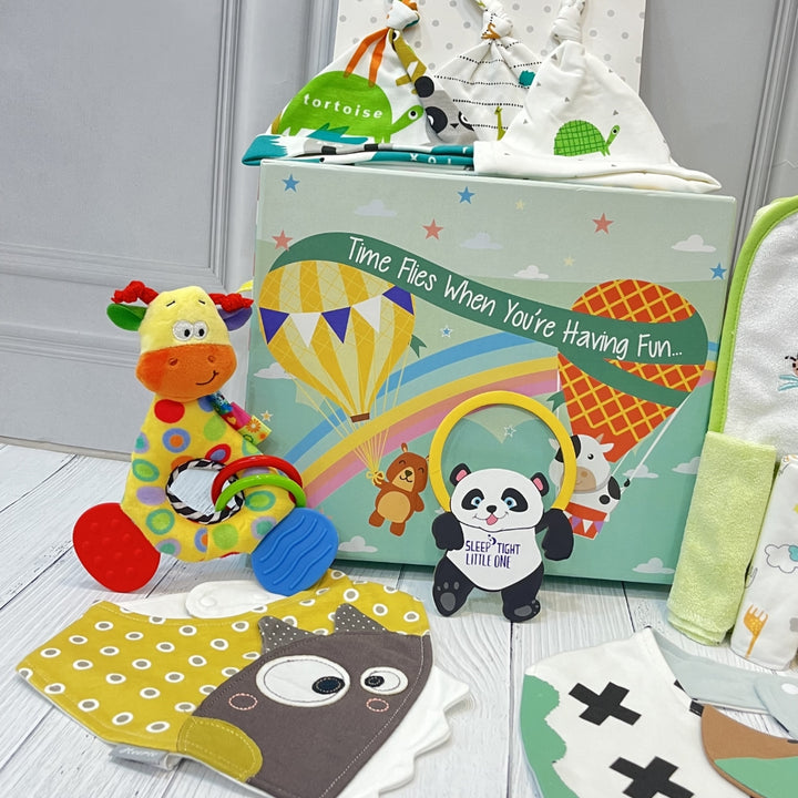 Time Flies Baby Fun Hamper