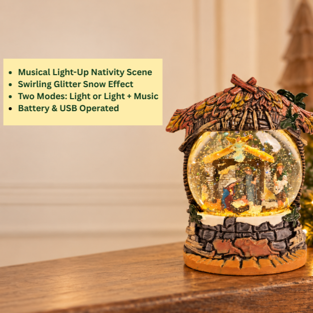 Water Light Carols - Sacred Manger