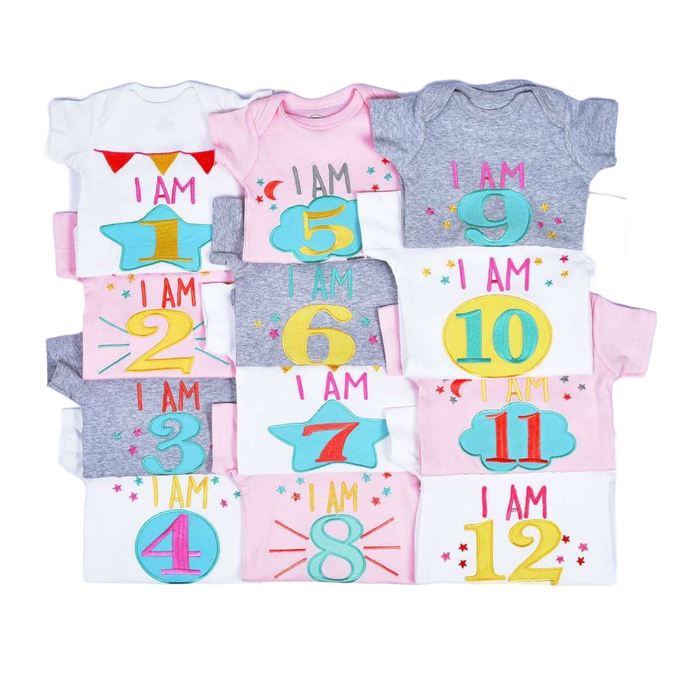 Hand Embroidered Milestone Romper Set of 12 - Stars