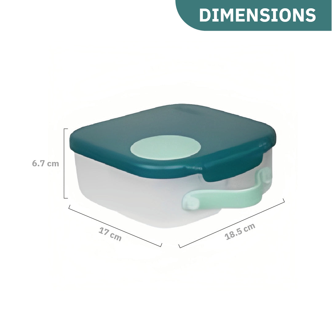 Mini Lunch Box Emerald Forest Green