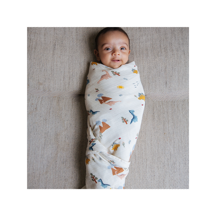 Organic Muslin Swaddle (Set of 2)