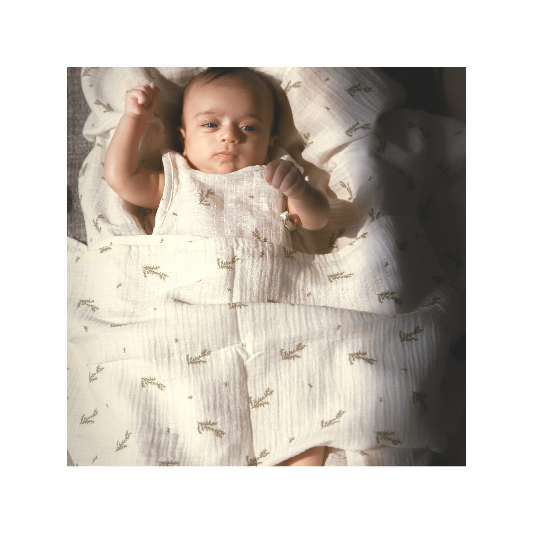 Baby's First Milestones! Gift Box Set (6-12 months)
