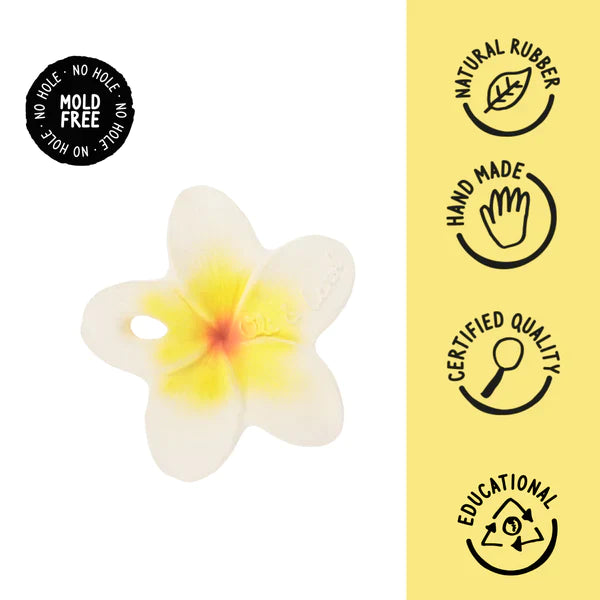 Oli & Carol Spot The Mushroom + Aly The Almond + Hawaii The Flower Chewy Teether