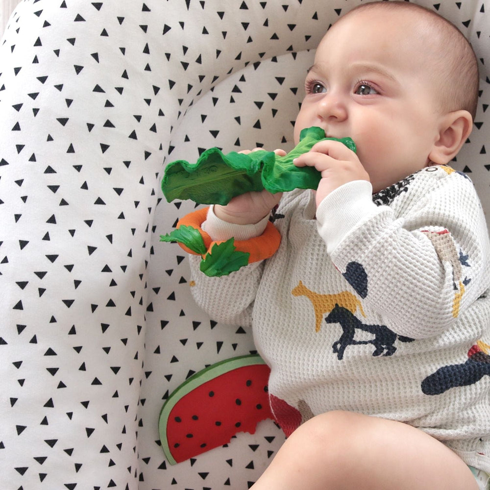 Oli & Carol Fruits & Veggies Teether Combo-(Clementino The Orange + Kendall The Kale + Coco The Coconut + Wally The Watermelon) Teether - Sohii India