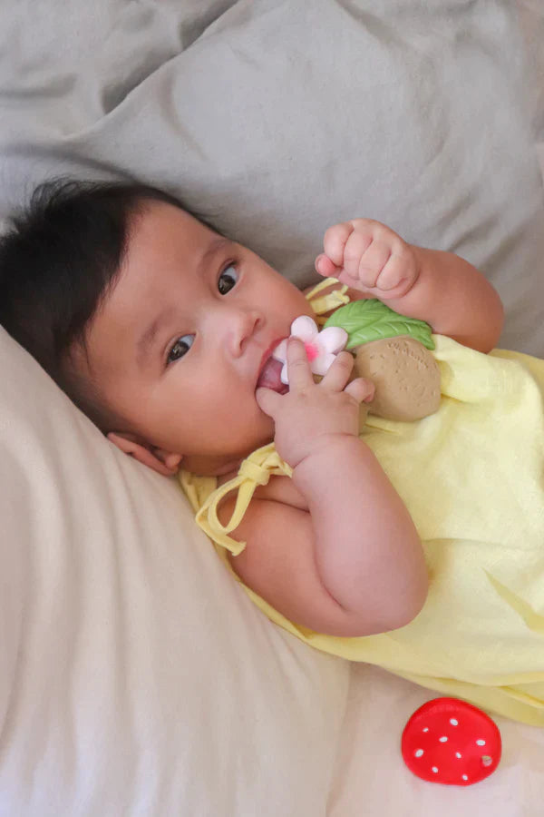Oli & Carol Spot The Mushroom + Aly The Almond + Hawaii The Flower Chewy Teether