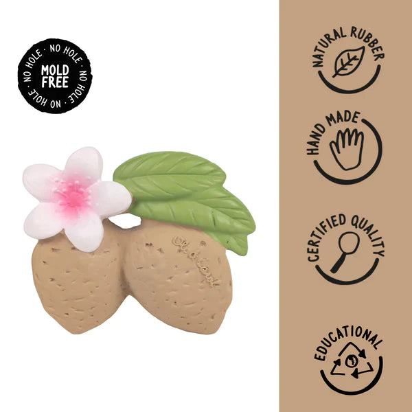 Oli & Carol Spot The Mushroom + Aly The Almond + Hawaii The Flower Chewy Teether