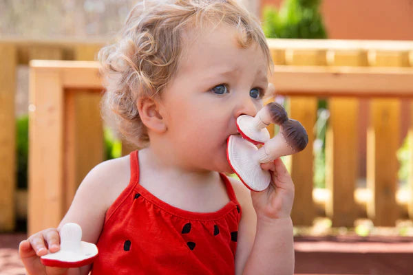 Oli & Carol Spot The Mushroom + Aly The Almond + Hawaii The Flower Chewy Teether